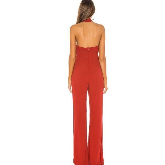 SOLD!! NWT Flynn Skye Ava Jumpsuit in Spice - Picture 4 of 5